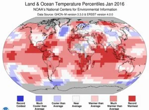 Sierkovitz - Globalny klimat: Styczeń 2016 najcieplejszym styczniem w notowanej histo...