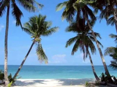 vendaval - Spacerek po brazylijskich plażach - oprowadza Sergio Mendes.
#muzykabrazy...