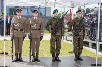 gryzli6 - @proweniencja: np po po prawej wygląda już zdecydowanie lepiej :)