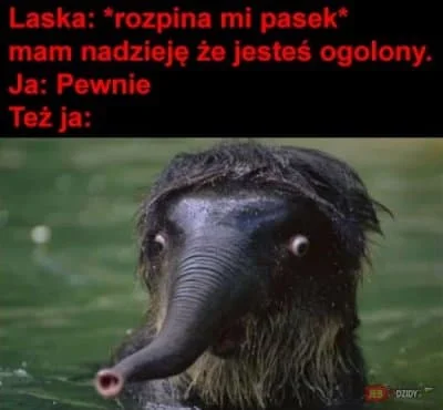 s.....e - XDDDDDDDDDDDDDDDDDDDDDD

#rozowepaski #niebieskiepaski #zwiazki #seks