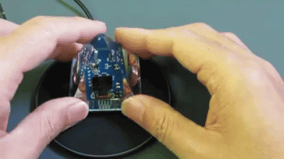 Forbot - ᶘᵒᴥᵒᶅ