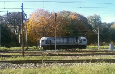 Montago - "Jesienna" lokomotywa... 

(Nawet nie wiem co to za model...) 

#pociag...