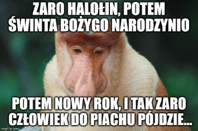 Haxiu - #polak #nosaczsundajski