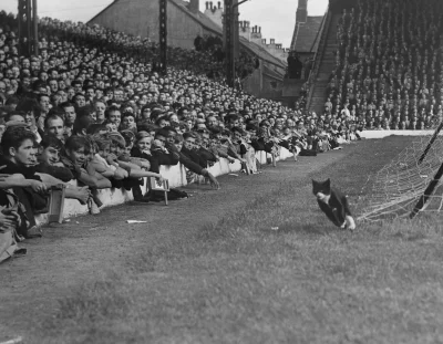 G....._ - Ostatni #anfieldcat na dziś:

#premierleague #60s #liverpoolfc