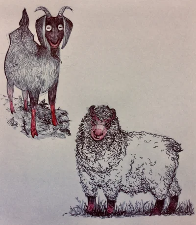 xy_li - Koza i owca. 

W jednej stały stodole.

#rysujzwykopem #rysunek #tworczoscwla...