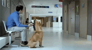 CreativePL - #cutnessoverload #psy #gif