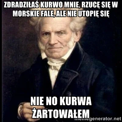 nnn - #spiewajzwykopem #schopenhauer