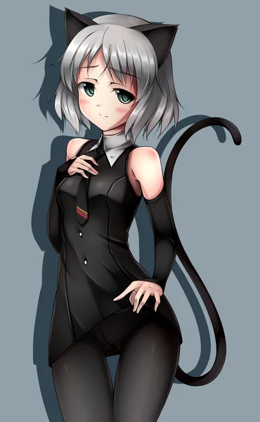 janoosh - robie to dobrze?

#randomanimeshit #strikewitches #neko #sanyalitvyak