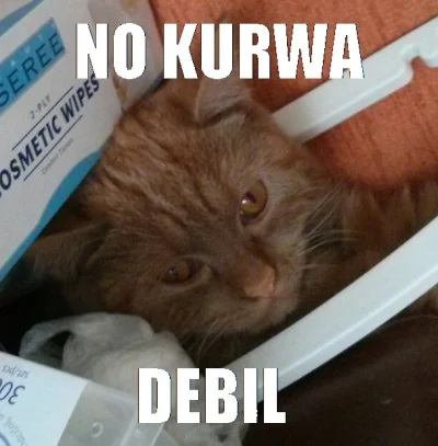 k.....n - @Dandsi: co za wzrok xD