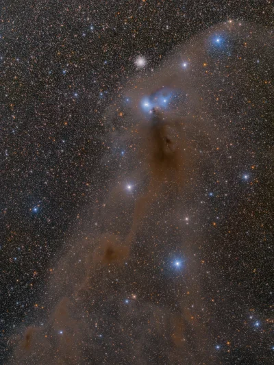 namrab - Mgławica Nosacz w gwiazdozbiorze Korony Południowej.
Nikon D810A + Takahash...