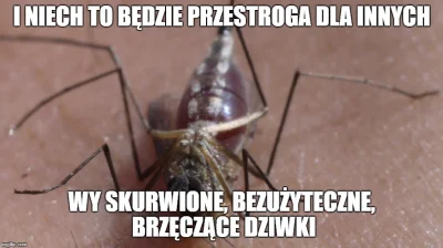 biszkoptowypiesobronny