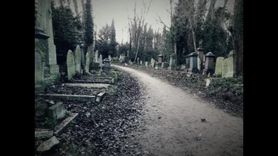 agent_tomek - Abney Park Cemetery London 
Taki tam cmentarz park, utrzymywany w porz...