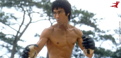 GraveDigger - #gimbynieznajo #madafaka #brucelee