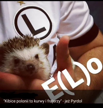 J.....k - @InsertPPL po Polonię