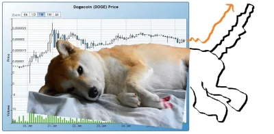 mietekfoch - Tak będzie #dogecoin