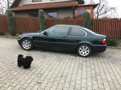 dofrytekkucharek - #e46 #bmw #mechanikasamochodowa Mogę obniżyć sam przód o jakieś 30...