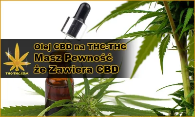 THC-THC - @THC-THC: Olej CBD: Wszystko, Co Trzeba Wiedzieć o Oleju CBD
#CBD #Olej #o...