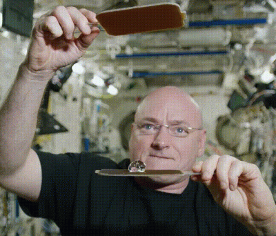 oniee - ping pong w mikrograwitacji
#gif #kosmos #nasa #nauka