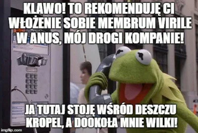 F.....o - Śmiałem się że swojego bana, chociaż uważam, że mem mi wyszedł. Ban dla @Wu...