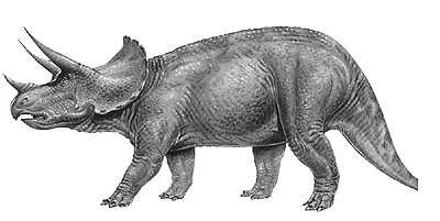 darbarian - @korporacion: Taki trochę uboższa wersja triceratopsa