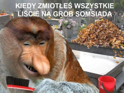 Scabbe - #polak #wszystkichswietych #heheszki #nosaczsundajski, #humorobrazkowy