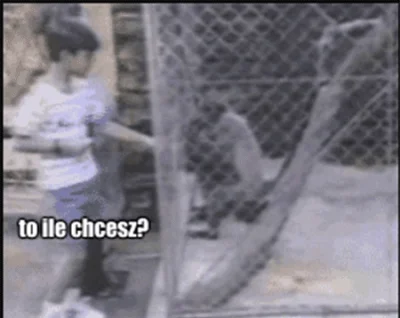 shaunthesheep - #gif #heheszki #byloaledobre