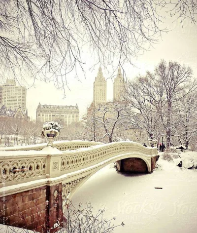 J.....3 - #zima #fotografia #robimyswiatecznaatmosfere



Nowy Jork, Central Park :)