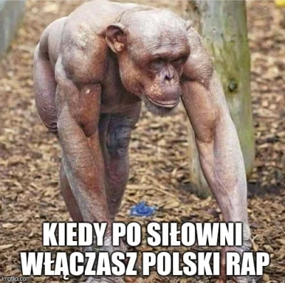 T.....e - #humorobrazkowy #heheszki #polskirap to gunwo #mirkokoksy 
#tyleecontent -...