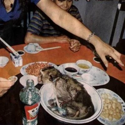 jvmaxxjv - Popularnym przysmakiem w Chinach jest mózg małpy, jedzony na wiele sposobó...