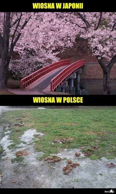 roztentegowywacz - juz niedlugo ( ͡° ͜ʖ ͡°)
#wiosna #polska #heheszki