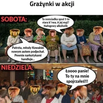 K.....y - #takaprawda #heheszki #humorobrazkowy #nosaczsundajski #nosacz #grazynacore...