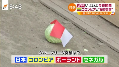 TenNorbert - Że niby Polska jest kojarzona z kapustą w Japonii? 
#japonia #mundial
