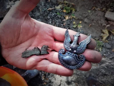 Zwiadowca_Historii - Z ostatniej chwili... na Westerplatte odkryto szczątki kolejnego...