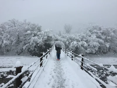 Lookazz - > First Snow in Shirakawa

Niedługo i u nas ( ͡° ʖ̯ ͡°)

#dzaponialokaca <=...