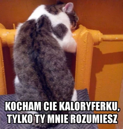 p.....3 - [ #kotokalipsa #koty #kot #heheszki ]



Już niedługo ( ͡° ͜ʖ ͡°)