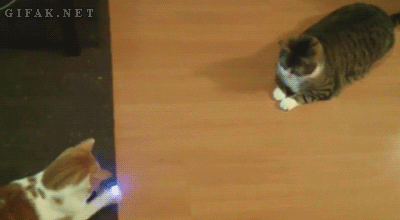pierdze - #smiesznekotki #koty #kitku na #dziendobry

Jeśli nie chcesz przegapić na...