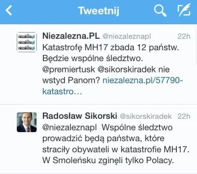 dario-str - 1. W MH17 zginęli obywatele 12 krajów i międzynarodowe śledztwo prowadzić...