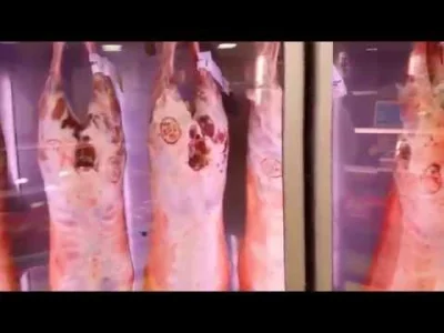 lubiekaszezeskwarkami - Patrzcie jak wygląda sklep mięsny w UK 
#gotujzwykopem #pols...