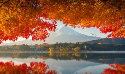 Dipolarny - Magia!(ʘ‿ʘ) Fudżi
#earthporn #japonia