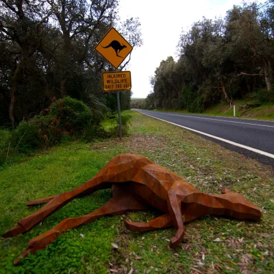 quiksilver - Rzeźba martwego kangura, Australia (Projekt - Matt Hill) 

Strona auto...