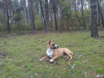 MateuszWajchePrzeloz - Na nadmiar wolnego czasu podczas trzeźwienia najlepszy jest pi...