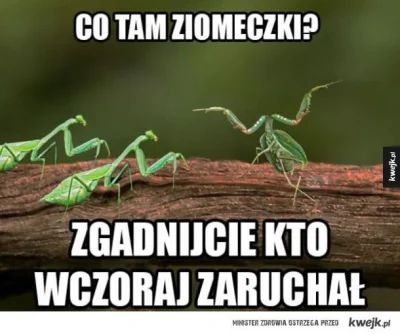 yoreciv - #humorobrazkowy #niewiemczybylo #kwejkaledobre