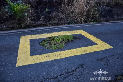 duloo - Powinniśmy zaadaptować w Polsce ekwadorski system oznaczania dziur na drogach...