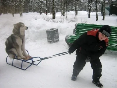 rybak_fischermann - @GdzieSoLody: wiem, wiem, w końcu Volvo. Wszystko wina Google ima...