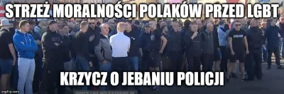 S....._ - No i jeszcze rzucaj materiałami wybuchowymi ku chwale Wielkiej Polski, bo c...