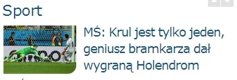 rhund - onet.pl: geniusz, trolling czy głupota?