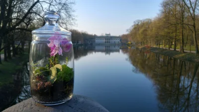 Lasjestw_Nas - #rozdajo takiego pięknego szklanego vivarium, jak na zdjęciu. Czas do ...