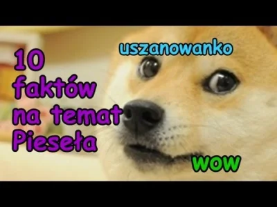 szalony_kefir - Takie fakty WOW @Kozzi #piesel #doge