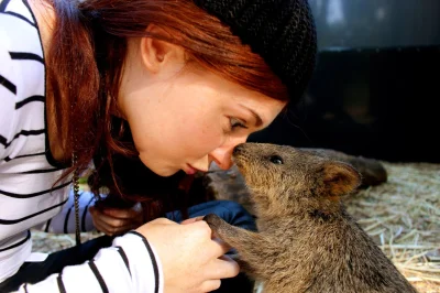 robincaraway - #quokkanadzis

@MaupoIina: dzięki za zdjęcie :)

wołam do kuoki @G...