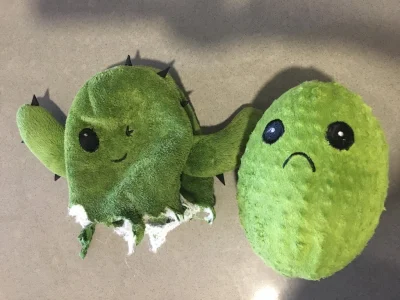 Czokowoko - Pies użytkowniczki #reddit rozwalił swoją zabawkę kaktusa. W środku był d...